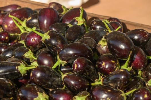 fresh appetizing eggplants at the market on the island of Cyprus in autumn 1