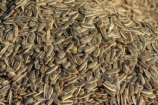 black and white sunflower seeds piled in a heap at a local market 1