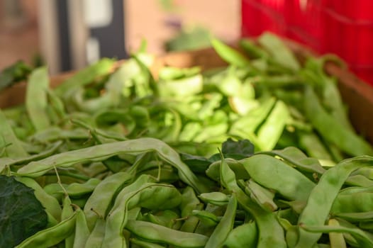 fresh pods of green beans at the local market