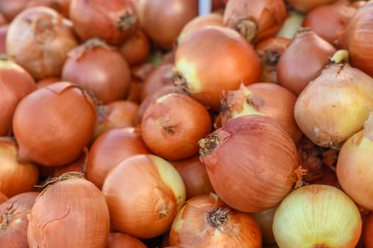 onions piled in a pile at the local market