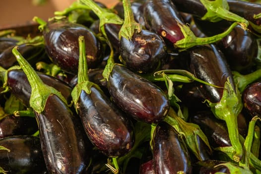 fresh black eggplants at the local market