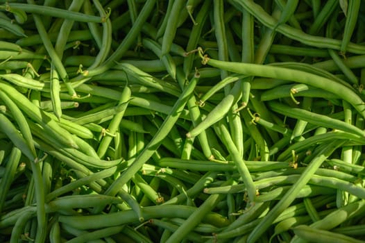 fresh appetizing green beans at the bazaar on the island of Cyprus in autumn