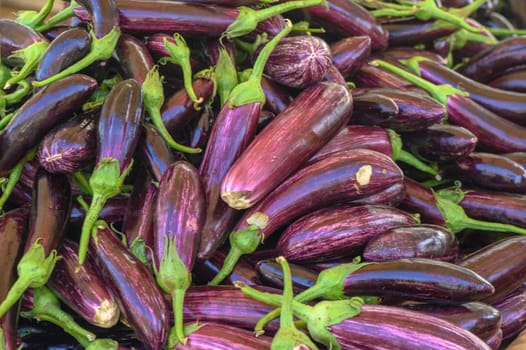 fresh appetizing eggplants at the market on the island of Cyprus in autumn