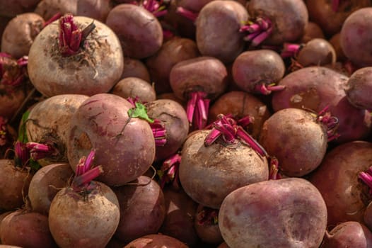 fresh green beets at the bazaar on the island of Cyprus in autumn