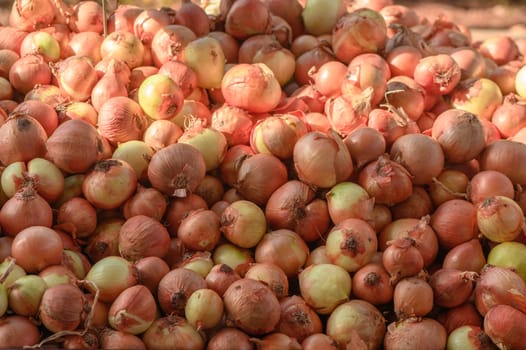 juicy onions at the market on the island of Cyprus in autumn
