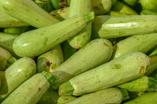 Appetizing zucchini at the market on the island of Cyprus in autumn