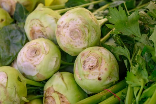 fresh kohlrabi cabbage at the market on the island of Cyprus in autumn