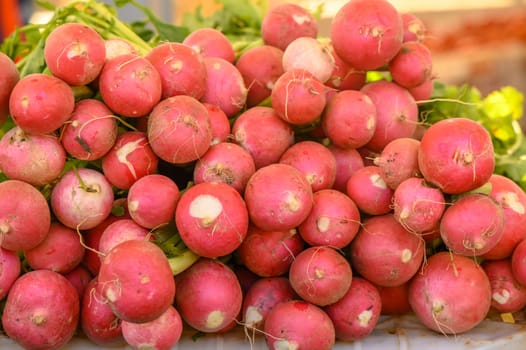 fresh radishes at the market on the island of Cyprus in autumn