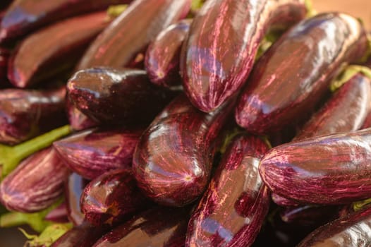 beautiful fresh eggplants in a pile at a local market in the Mediterranean