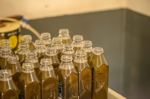 bottled olive oil at an olive oil pressing plant