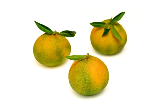 delicious fresh green-orange tangerines on a white background 3