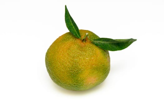 delicious fresh green-orange tangerines on a white background 4