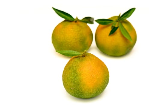 delicious fresh green-orange tangerines on a white background 5