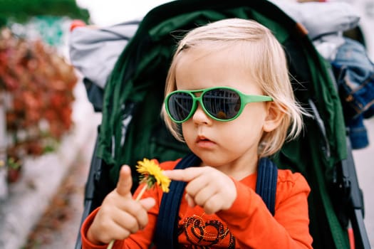 Little girl in sunglasses touches a yellow dandelion with her finger in her hand while sitting in a stroller. High quality photo