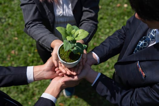 Business people hold plant or sprout together in unity and teamwork concept of eco company committed to corporate social responsible, reducing CO2 emission, ESG principle for sustainable future. Gyre