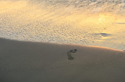 footprints leading into the sea on a Mediterranean beach