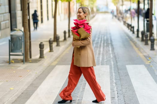 Full body side view of elegant female pedestrian in stylish coat carrying bouquet of poinsettia flowers while crossing road