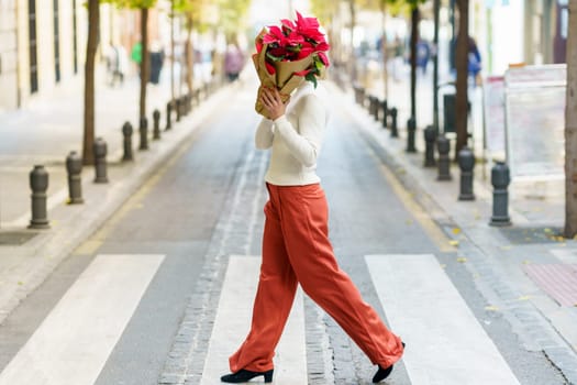 Full body side view of unrecognizable female pedestrian covering face with bouquet of red flowers wrapped in paper while walking on crosswalk on city street
