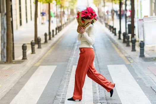 Full body of unrecognizable female, pedestrian in stylish outfit covering face with potted poinsettia plant with bright red leaves wrapped in paper while crossing road on crosswalk