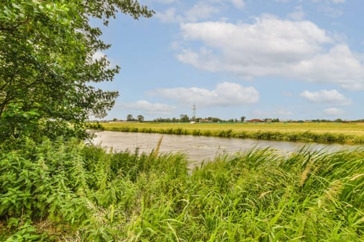 a river in the middle of an area with tall grass and trees on both sides there is a cloudy blue sky