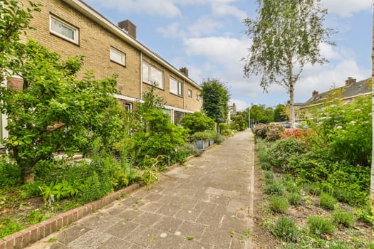 a street with houses in the background and lots of plants growing on the side of the road to the right