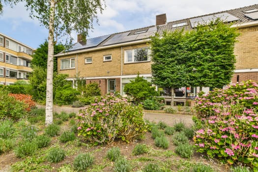 the back garden with flowers and plants in blooming beds, surrounded by bricked houses on a sunny day