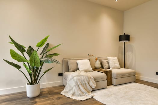 a living room with a couch, chair and plant in the corner on the right hand side of the room