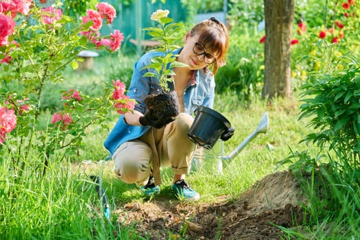 Woman transplanting hydrangea from pot in soil, using garden shovel. Nature, gardening, landscape design, spring summer work in garden