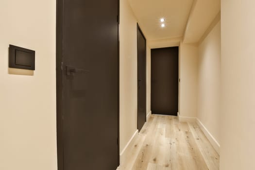 a long hallway with wood floors and black doors on both sides, leading you to the other rooms in an apartment