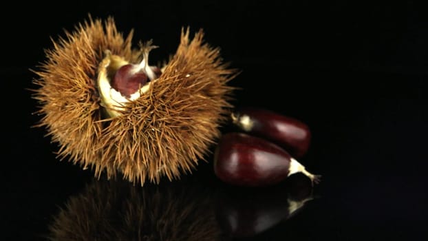 Closeup of chestnuts on a black reflective background.