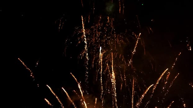 Multiple fireworks explosions on a dark night sky.