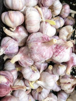 Garlic on the counter of a grocery hypermarket, sale of fresh vegetables. Vertical photo