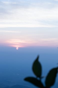 The image of blurred leaves and sunrise in the morning