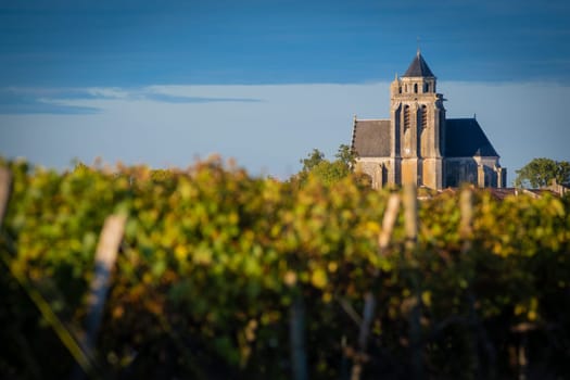 France, Charente-Martime, Lonzac Church,in Cognac Vineyards, Petite Champagne, High quality photo