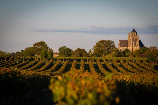 France, Charente-Martime, Lonzac Church,in Cognac Vineyards, Petite Champagne, High quality photo