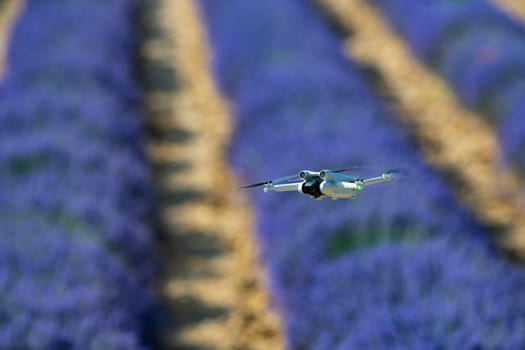 Drone flying over lavender field, Valensole, Provence, High quality photo