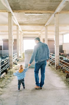 Little girl walks with her dad by the hand and points her finger at the goats in the pens. Back view. High quality photo