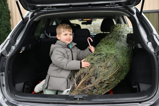 A boy sitting in the trunk with a Christmas tree