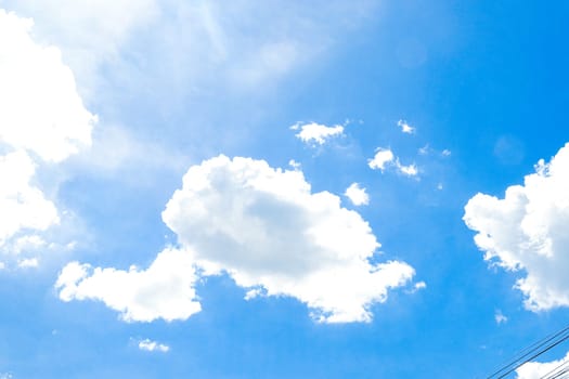 Whale Clouds: Majestic Wonders in the Fluffy Blue Summer Sky