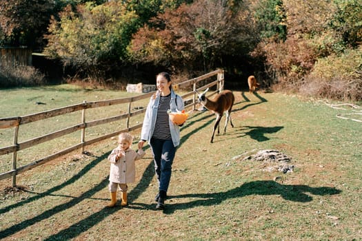 Mom leads a little girl by the hand through a ranch with llamas, carrying a bowl of vegetables. High quality photo