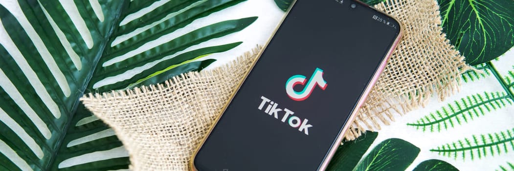 Tver, Russia-August 5, 2020, the tik tok logo on the smartphone screen on a background with green plant leaves. Tik-Tok icon. logo of the current app. Tiktok social network.