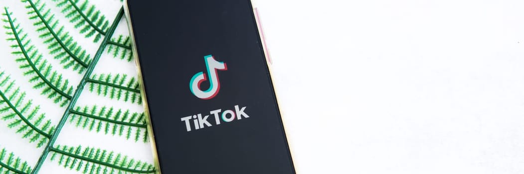 Tver, Russia-August 5, 2020, the tik tok logo on the smartphone screen on light background with a fern. Tik-Tok icon. logo of the current app. Tiktok social network.