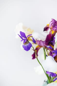 Crystal green vase full of faceted multi-colored hybrid bearded irises, vertical with space for an inscription