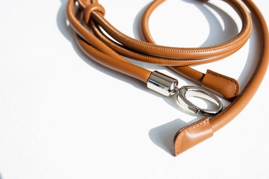 top view female image accessory brown leather belt.