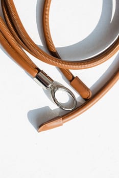 top view female image accessory brown leather belt.