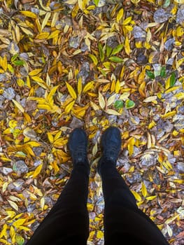 top view of male black legs on a background of yellow leaves.