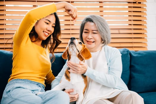 In a cozy home setting, a woman, her mother, and their Beagle dog capture a heartwarming family portrait on the sofa. Their happiness and togetherness shine through. Pet love.