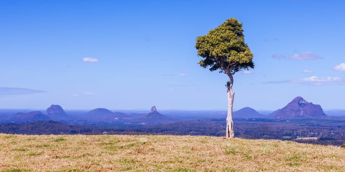 A view across the Glass House Mountains National Park from One Tree Hill Lookout on Mountain View Rd on a clear sunny day near Maleny, Queensland, Australia