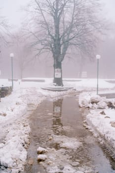 Muddy road in a snowy foggy park. High quality photo