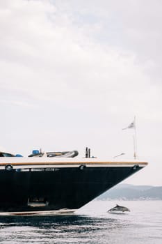 Dolphin swims in the sea near the bow of a ship against the backdrop of mountains. High quality photo